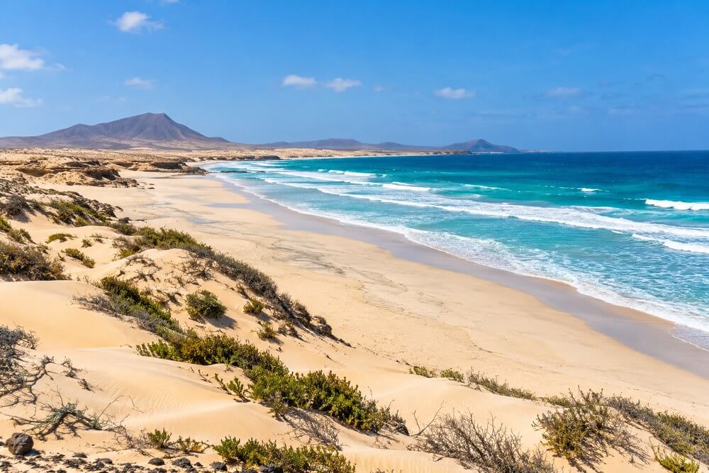 Plaża na Boa Vista z wydmami i oceanem